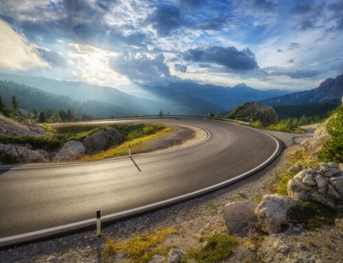 Capitalizing on the Curve: Fixed Income Opportunities in a Shifting Rate Environment