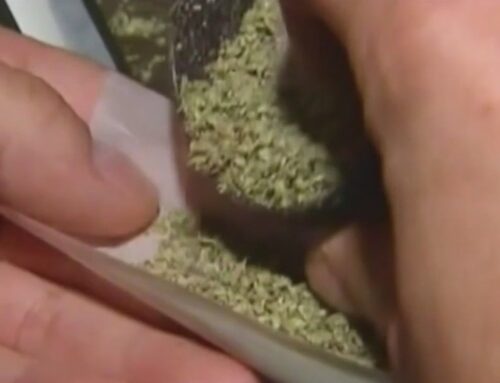 Michigan cannabis industry speaks on 24% tax proposal in state budget