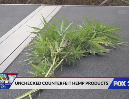 Missouri’s legal cannabis industry targets unlicensed hemp sales