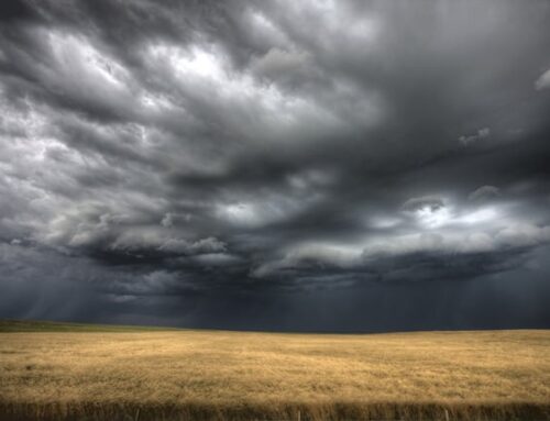 AWS storm over, but the climate’s only getting worse