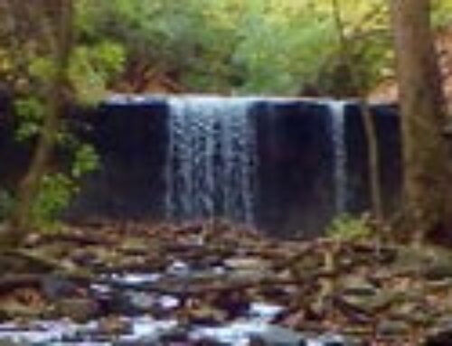 Stormwater awareness promotes environmental stewardship in Mount Vernon