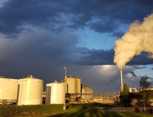 Kincannon & Reed Places CEO at Southwest Iowa Renewable Energy