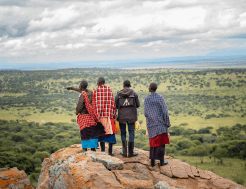 Locally-led adaptation drives resilience in 33 countries