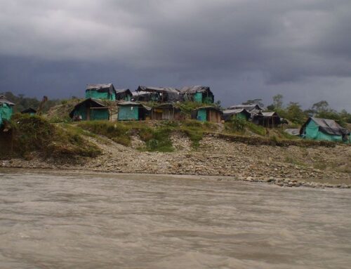 Amid systemic corruption, Amazon countries struggle to fight environmental crime