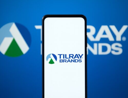 Tilray’s 300% Rally and Surprise Profit: Is the Cannabis Comeback Real?