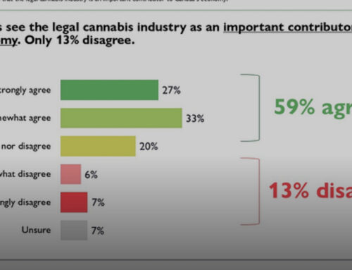 Cannabis Is Mainstream. The Real Question Is Whether Ottawa Will Treat It That Way.