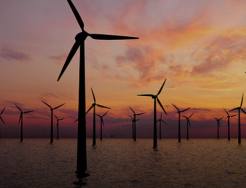 The Rise of Renewable Energy