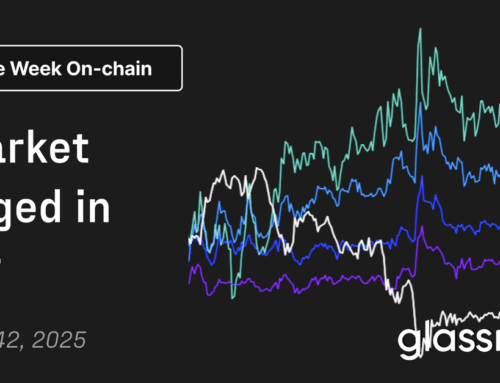 A Market Hedged in Fear