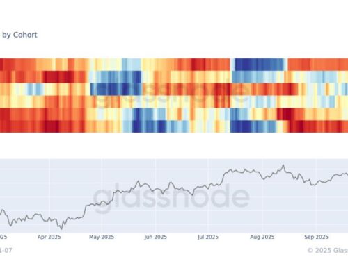 Bitcoin Whales vs Everyone Else, and the Whales Are Winning
