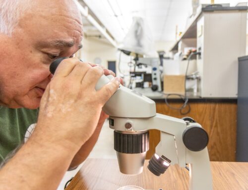 Philadelphia seniors track air and water pollution to ‘leave a better world’