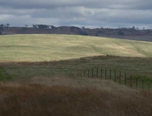 Sacramento County solar farm proposal faces opposition, as project moves forward