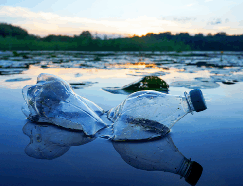 Some Bacteria Have Evolved the Ability to Degrade Plastic