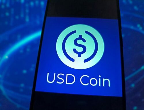 Bitcoin Meltdown: The Surprising Winner Rising From The Chaos