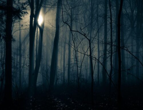 The Price You’ll Pay When Renewables Go Missing: Electricity Market Volatility