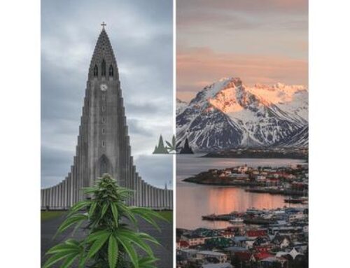 Cannabis At The Ends Of The Earth: Notes On The Northern & Southern Frontiers Of Cannabis