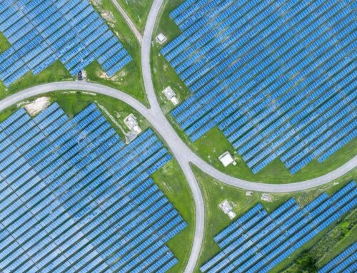 Companies Are Betting On Renewable Energy. When Will It Pay Off?