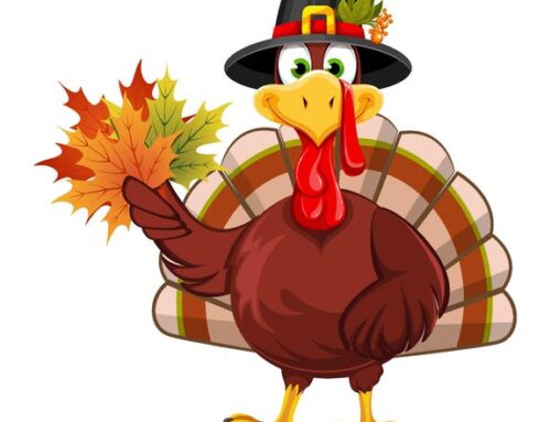 Thanksgiving Investing: Avoid The Turkey Trap In Magnificent 7 Stocks