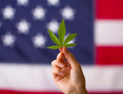 Republican Support For Cannabis Legalization Falls During Trump, Survey Finds