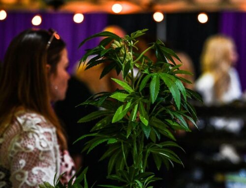 Cannadelic Brings Psychedelic And Cannabis Therapy To The Dialogue