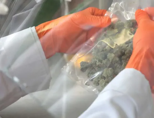 Study: Colorado cannabis labs produce unreliable THC potency results