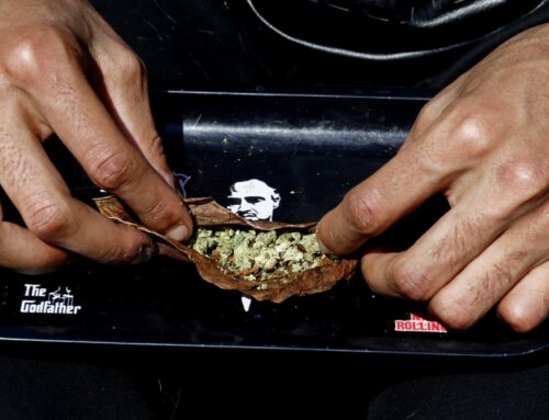 ‘Trump effect’ raises hopes for cannabis rally as investors bet on federal reforms, softer