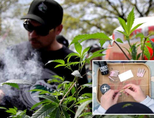 Cannabis poisoning among teens skyrockets since NY legalization: ‘Not…