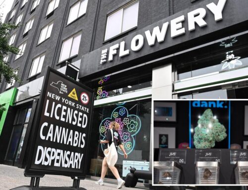 Marijuana prices plummet 17% in New York as legal market ramps up:…