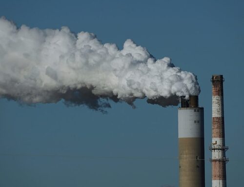 CO2 emission cut by 2040 backed by Parliament’s green committee