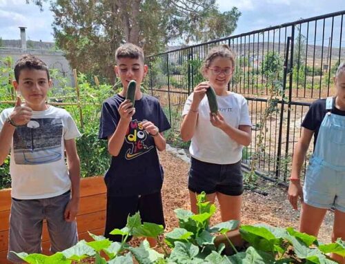 Cyprus schoolchildren lead the way in environmental protection
