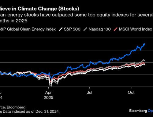 You Know Who Believes in Climate Change? The Stock Market