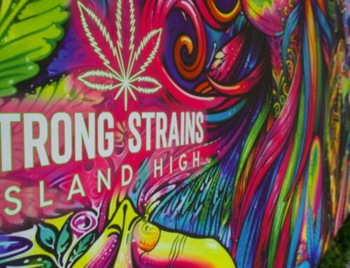 Brookhaven cannabis shop set to reopen after legal dispute