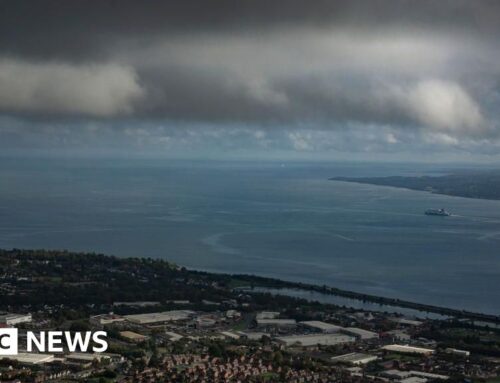 Belfast Lough: Environment watchdog to investigate sewage discharges