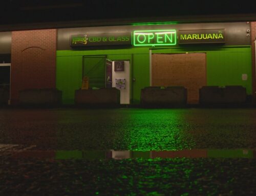 5 suspects on the run after cannabis shop smash-and-grab in Snohomish County