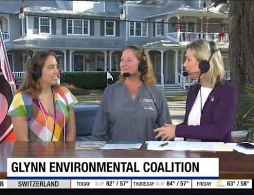 Glynn Environmental Coalition talks about its mission to protect the environment of Coasta