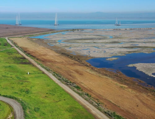 Environmental report card has mixed grade for San Francisco Bay Estuary