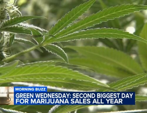 What is Green Wednesday? 2nd biggest day for marijuana sales all year