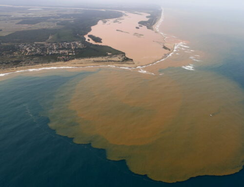 Judge finds BHP Group liable in dam collapse that led to Brazil’s worst environmental disa