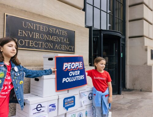 Climate & Energy Program Report