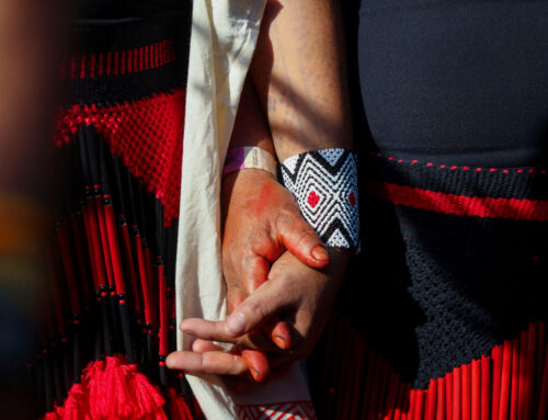 What did countries agree to at COP30? – Environment