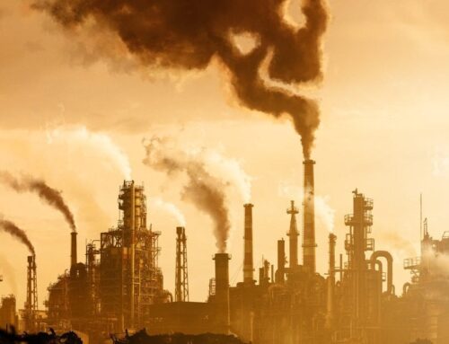 IEA: The Future of Energy, Net Zero Goals & Fossil Fuel Use