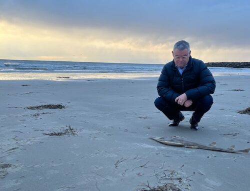 New environment laws may help or hinder, depending on who you ask