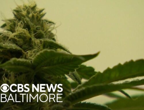 Howard County firefighters push to allow medicinal cannabis use