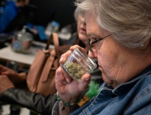 Cannabis education is the focus of Arizona’s pain and addiction programme