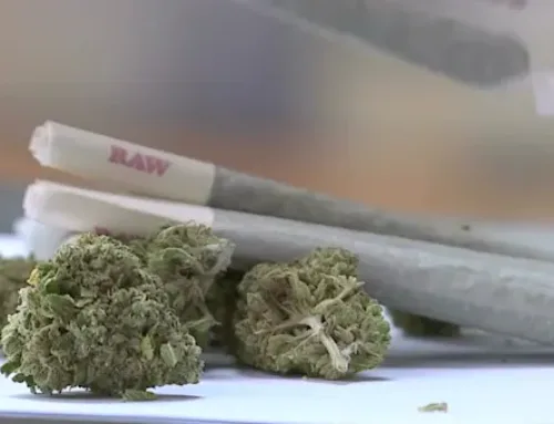 Taxing Long Island: Long Islanders are paying more for cannabis, according to new data