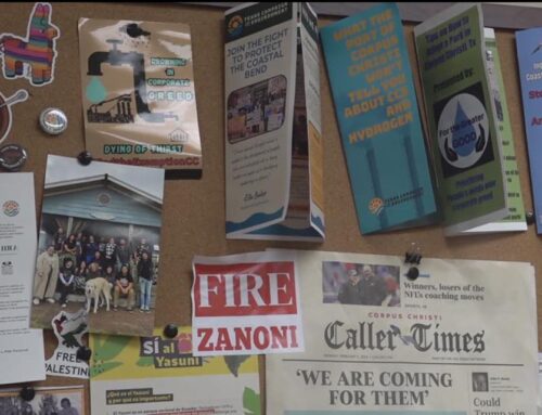 Environmental concerns rise over Corpus Christi desalination plans