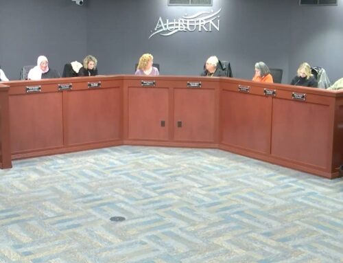 Council extends moratorium related to energy storage