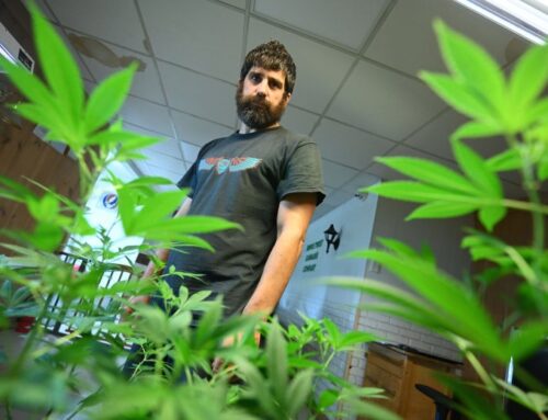 Madison cannabis shop owner faces more charges for courtroom tussle