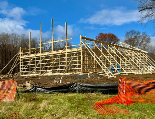 Local cannabis retail construction raises concerns over environmental destruction