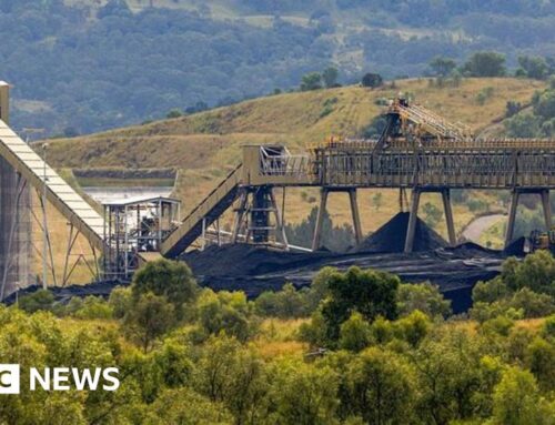 Australian environment laws set for biggest overhaul in decades