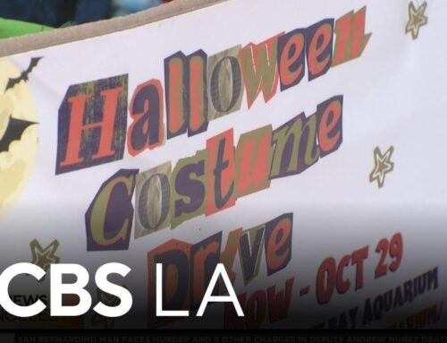 Heal the Bay recycles Halloween costumes to protect the environment